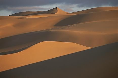 Amazon Sahara砂漠壁紙壁壁画 自己粘着 複数のサイズ National Geographicイメージからmagic壁画 Medium 5 4 H X 8 0 W 2 Panel Ngs Cpe Med 壁紙 Amazon Sahara砂漠壁紙壁壁画 自己粘着 複数のサイズ National Geographicイメージからmagic壁画 Medium 5 4 H X 8 0 W 2 Panel Ngs Cpe Med 壁紙