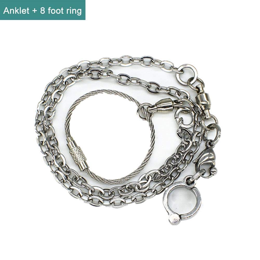 Parrot Foot Chain Birds Anklet Ring Stainless Steel Anti Flying |  Desertcart Gambia