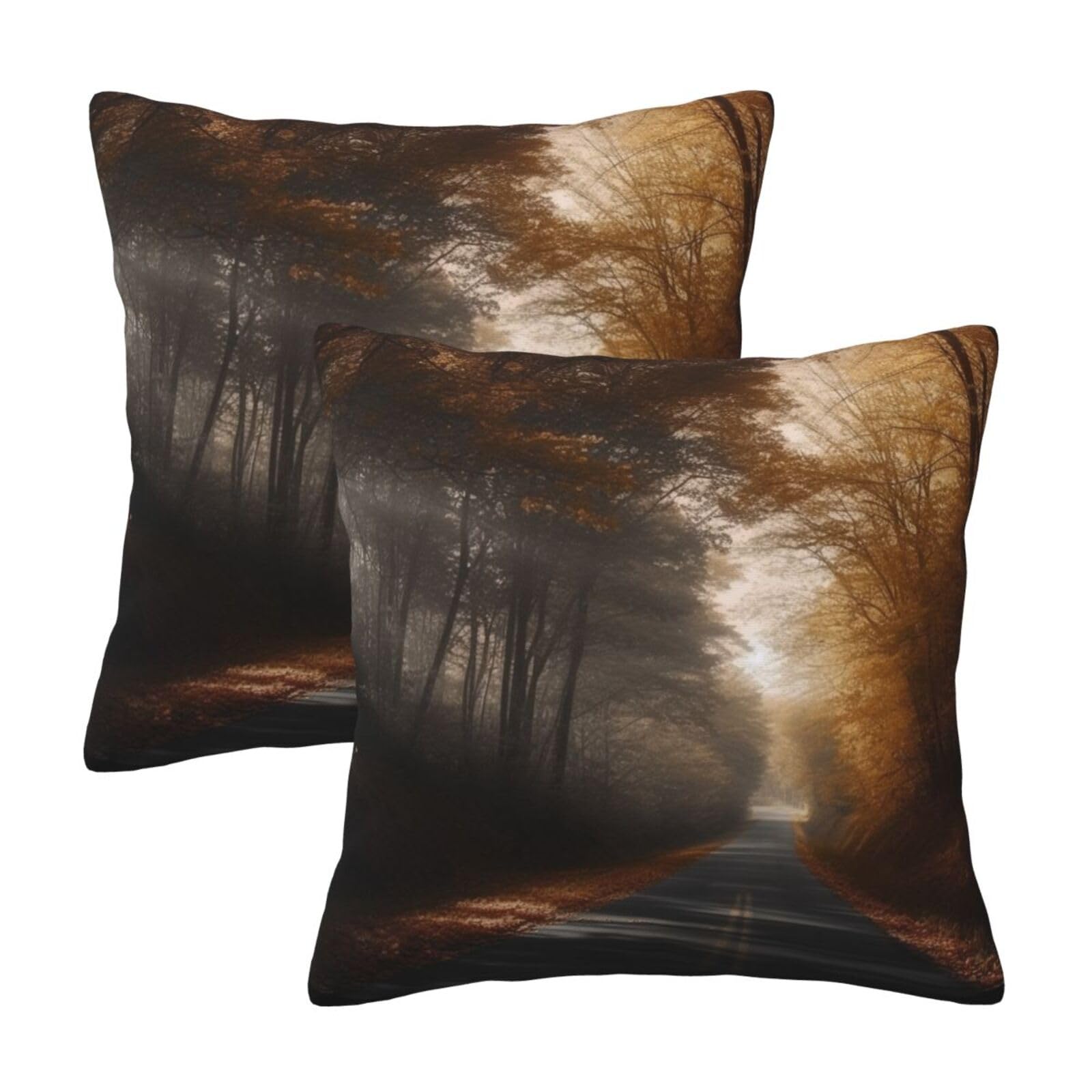 Road and Leaves Throw Pillow Cases 2 Pack Square Pillowcases Soft Pillow Protectors for Couch Livingroom Sofa Bed Office Car,30x30 CM