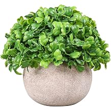 YZZY 1 Pack Mini Potted Fake Plants Artificial Plastic Faux Greenery in Pot for House DecorationStyle I Green