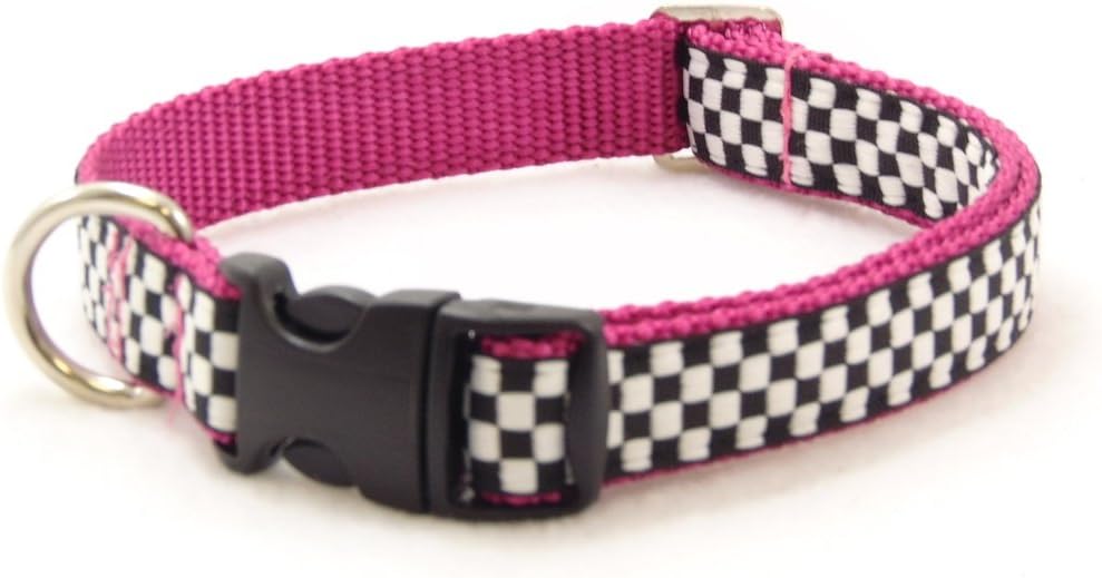 Speedway Pink Sports Car Dog Collar (MD-3/4 x12-20")