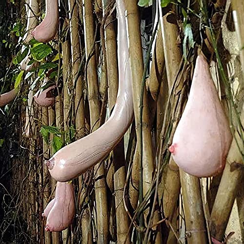 50Pcs Vietnam Milch Melonensamen Schöne umweltfreundliche nahrhafte ausgezeichnete ausgezeichnete produzierende Gemüsesamen für Haussamen Cover