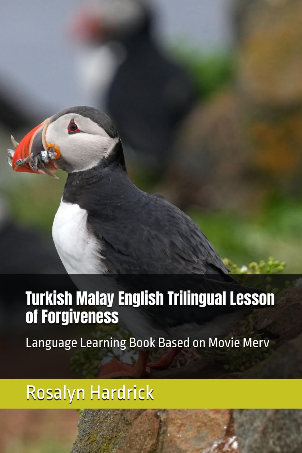 Turkish Malay English Trilingual Lesson of Forgiveness: Language Learning Book Based on Movie Merv