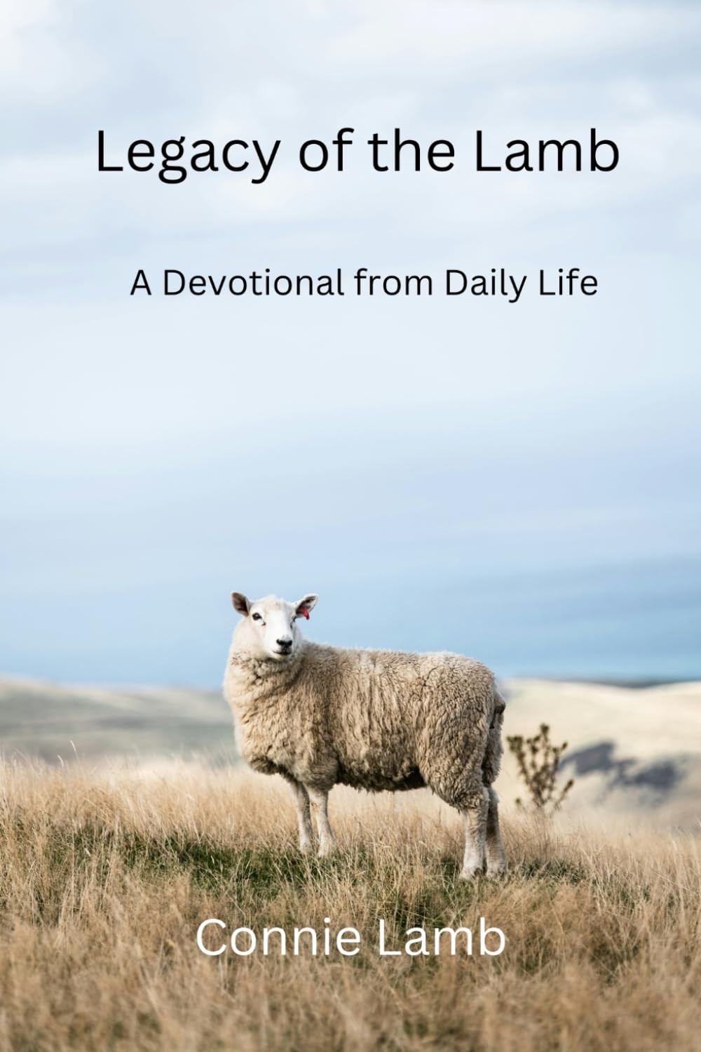 Legacy of the Lamb: A Devotional from Daily Life