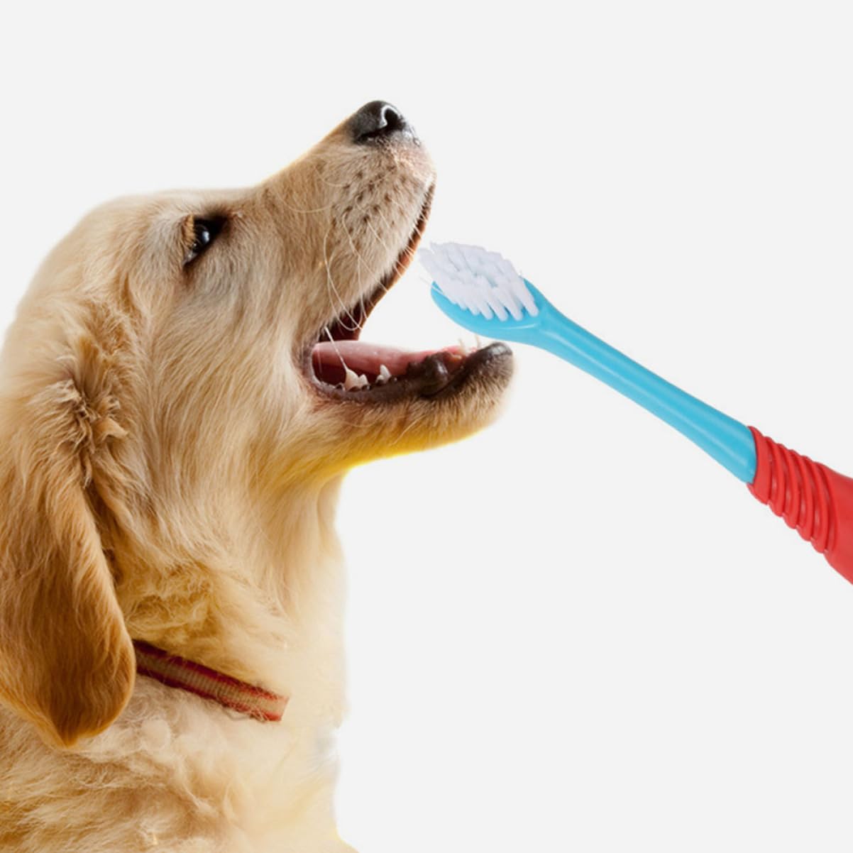 Kisangel 12stücke Teiliges Doppelseitige Hundezahnbürste Ergonomisches Design Sanfte Zahnreinigung Für Hunde Und Katzen Aus Hochwertigem Und Tpe