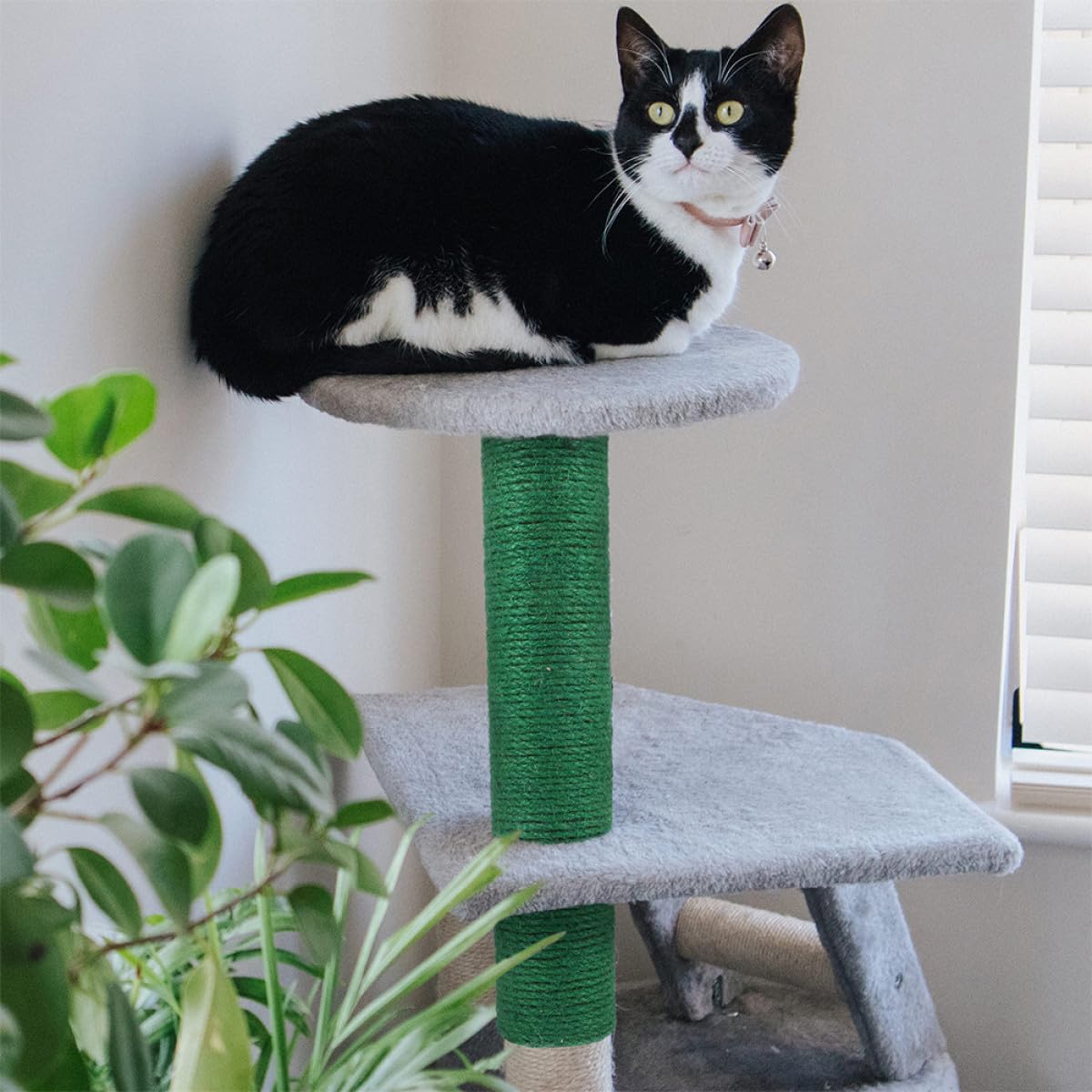SEWACC Paquete de 2 Postes Rascadores para Gatos de Cuerda de Yute Verde, Accesorio Recto de Repuesto para Rascador Proceso Delicado y Diseño Atractivo