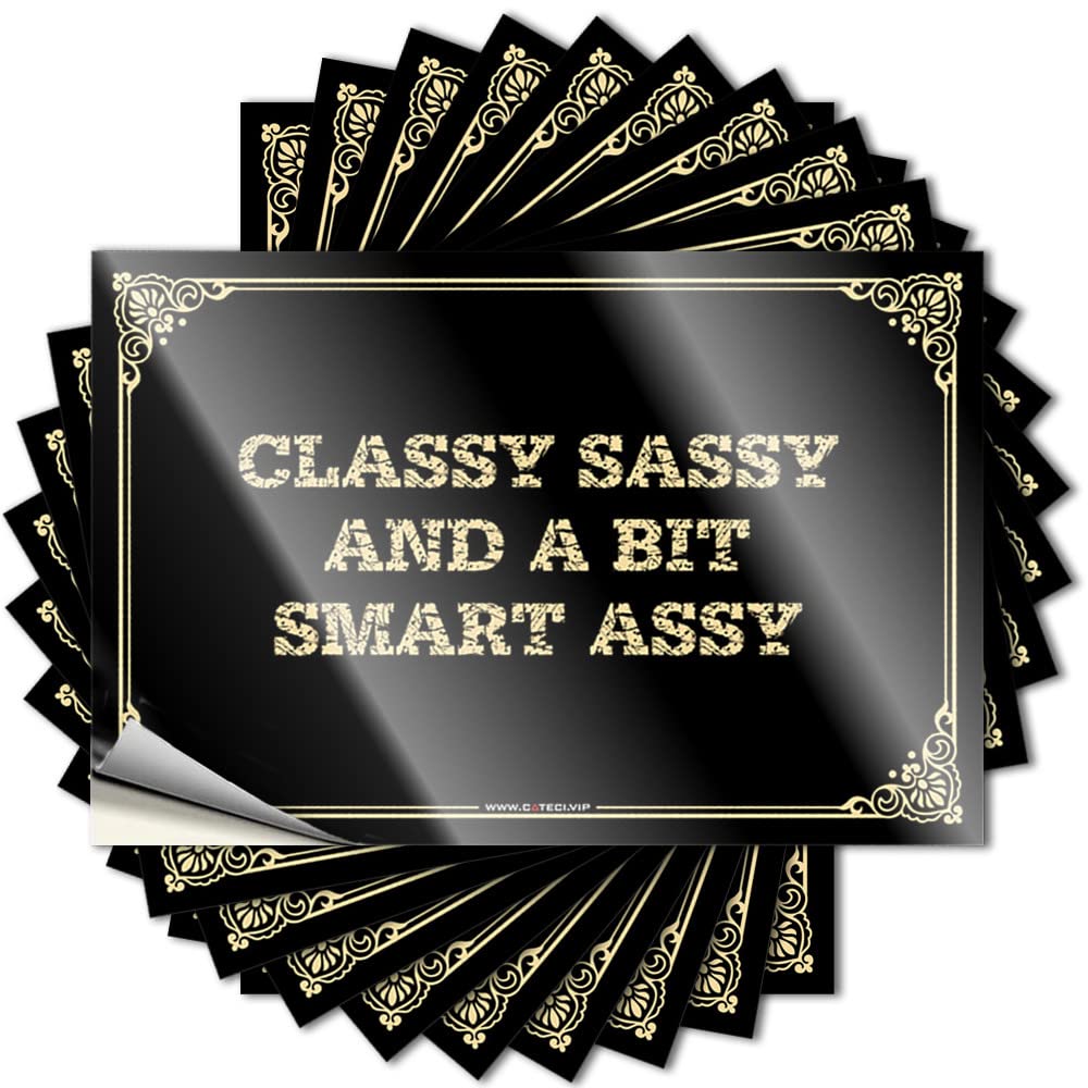 Decal Roll Easy Apply | Classy Sassy and A Bit Smart Assy Assorted Cover Peel and Stick(6X9CM)