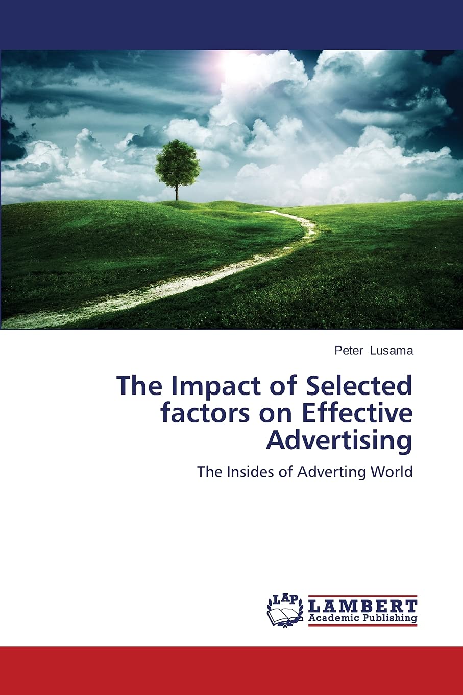 The Impact of Selected Factors on Effective Advertising