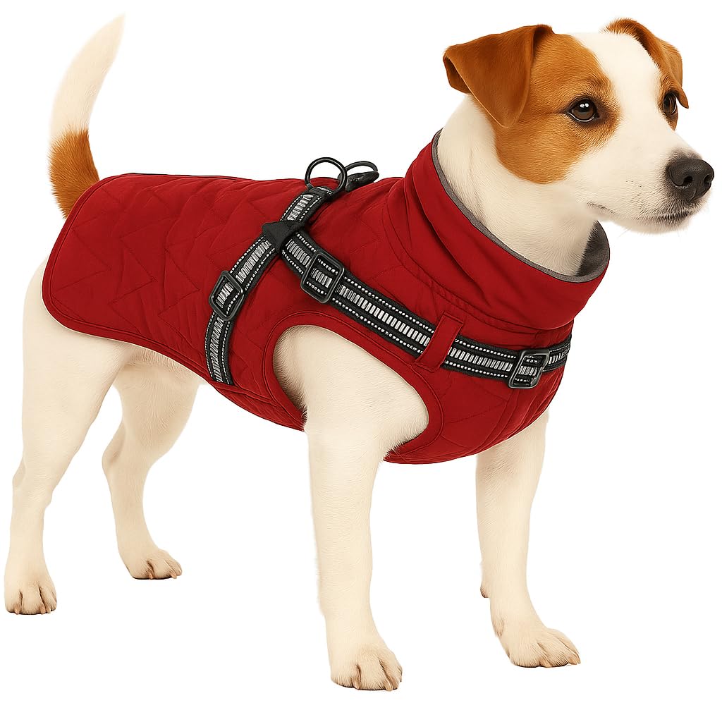 Flamingo WINTER COAT DUKER RED 35CM