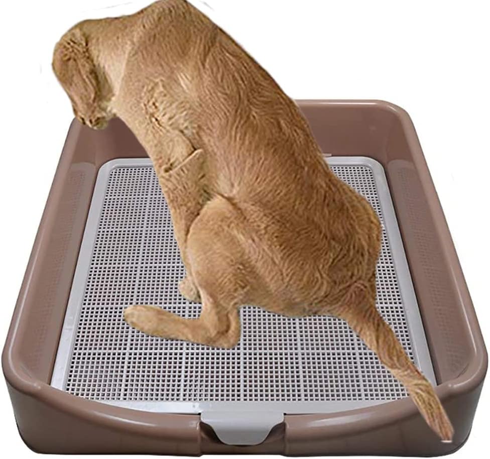 セットアップ 犬 INULABOイヌラボ トイレ トイレトレーニング しつけ ステップ 飛び跳ね防止 特大 トレー トイレ用品 セットアップ 犬 INULABOイヌラボ トイレ トイレトレーニング しつけ ステップ 飛び跳ね防止 特大 トレー トイレ用品