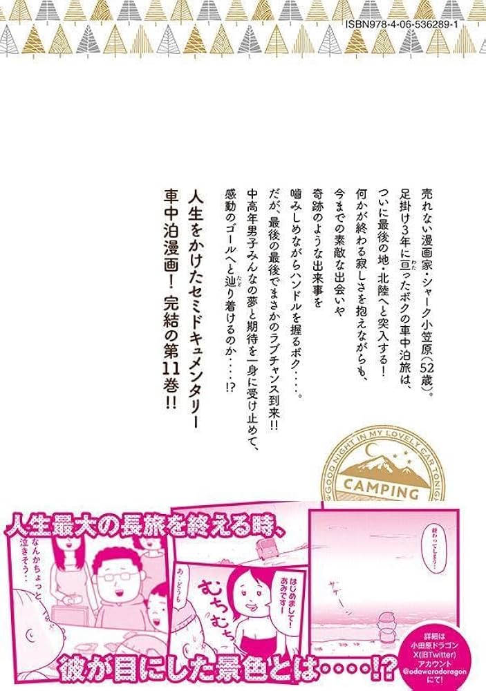 Amazon.co.jp: 今夜は車内でおやすみなさい。(11) (ヤング