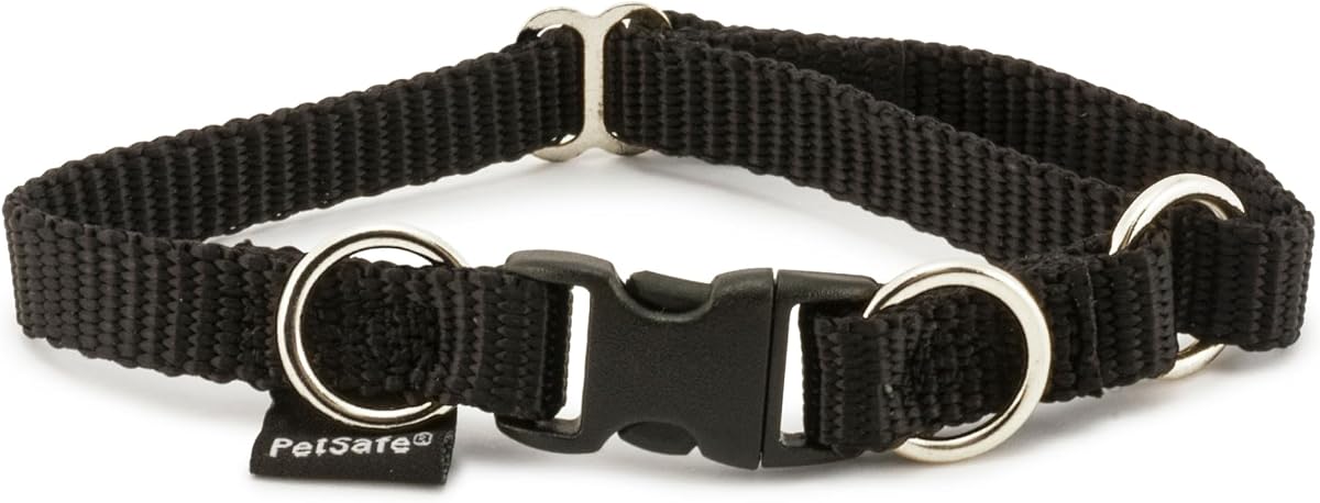 PetSafe KeepSafe Break-Away Dog Collar, Black, 3/4 in Wide, Small | Break-Away Buckle Releases Under Pressure for 24/7 Protection, Adjustable Fit, Durable Nylon, Fits Necks 10 - 14 in
