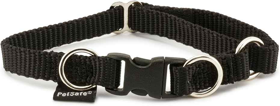 PetSafe KeepSafe Break-Away Collar 3/4 in Wide, Small, Black Prevent Collar Accidents for Your Dog or Puppy Improve Safety, Compatible with Leash Use, Adjustable Sizes