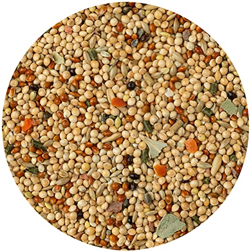 Vitakraft Vogelvoer parkiet parkiet, 1 x 500 g - Afbeelding 3