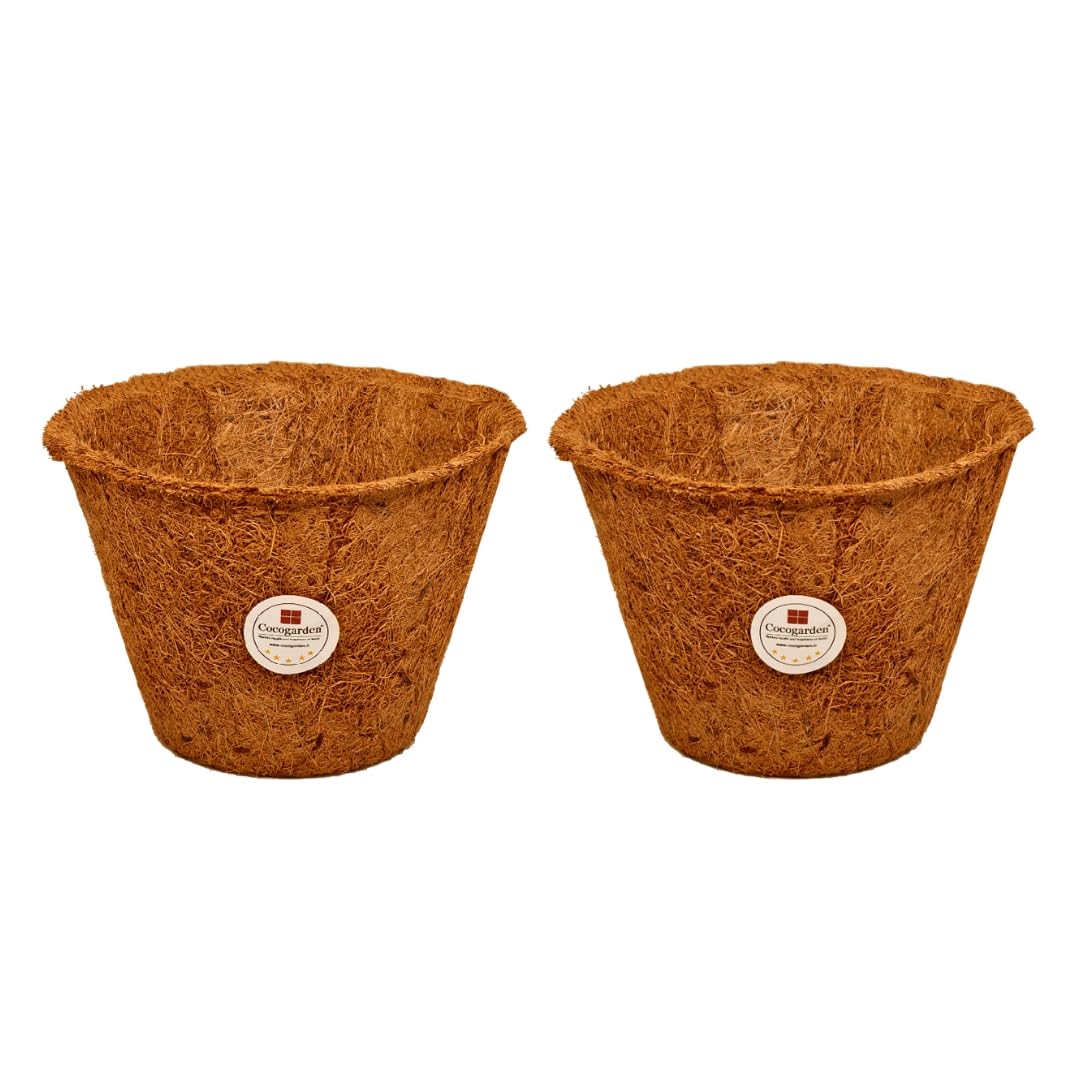 cocogarden Natural Coco Coir Pots Planters for Plants (6 inch, Pack of 2) (B0CT8KTCB5) Amazon Price History, Amazon Price Tracker