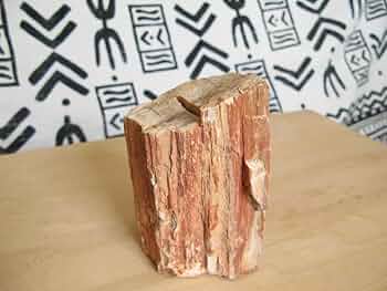 珪化木 Amazon | 珪化木木の化石非研磨大きさ約12x7．3x6