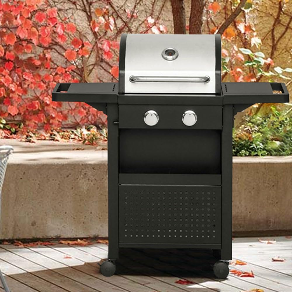 Barbecue a Gas Professionale Acciaio Inox 2 Fuochi con Termometro e Ruote Bloccabili