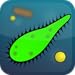 Bacterium