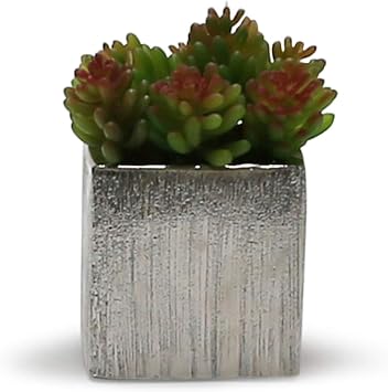 WGV Ceramic Cube Vase Width 5.5 Height 5 (Fits 5 Pot) Elegant Modern Block Square Floral Planter Terrarium Container Table Dresser for Event Accent Home Office Decor Silver Textured 1 Piece