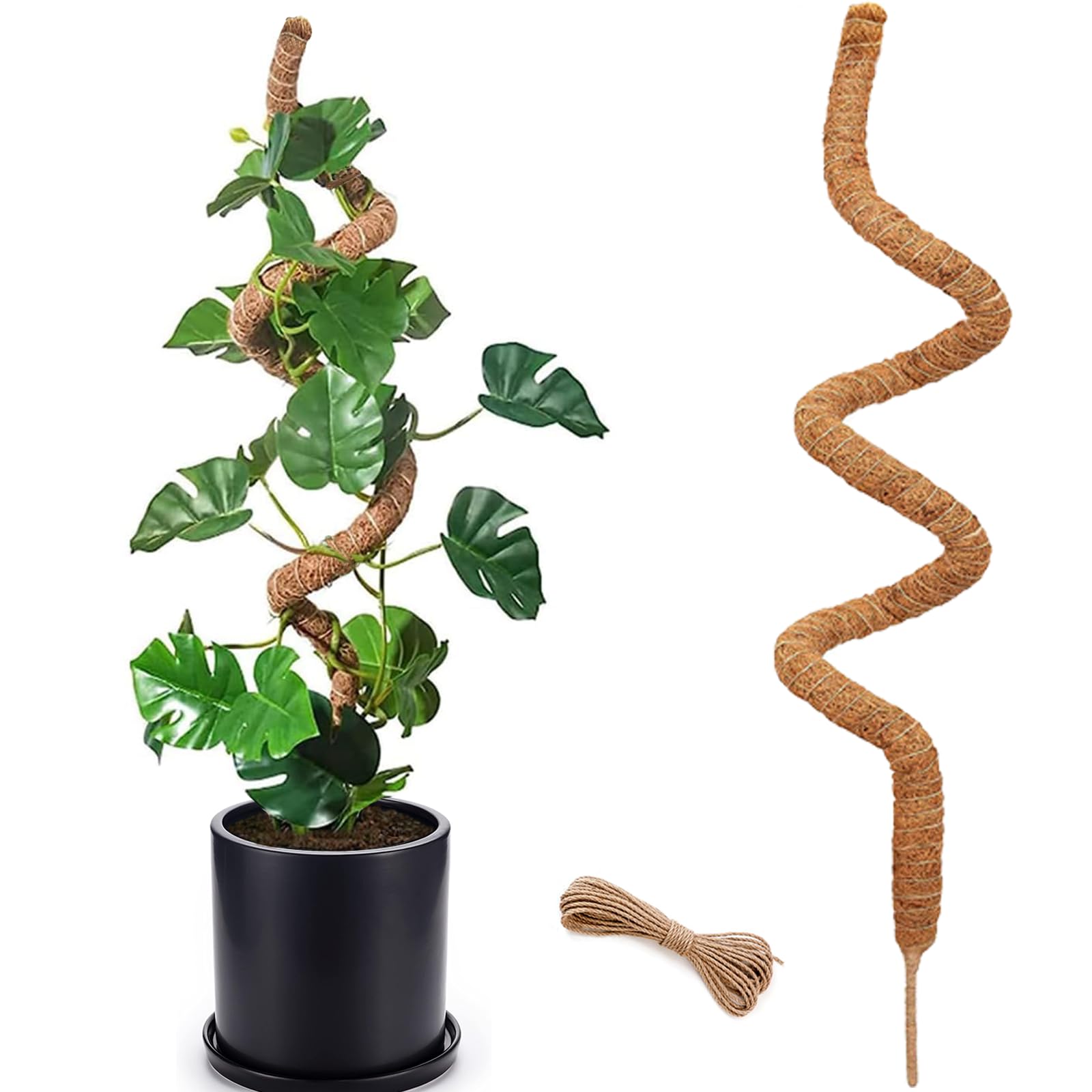Amazon.com : Moss Pole for Plants Monstera, 59 Inch Tall