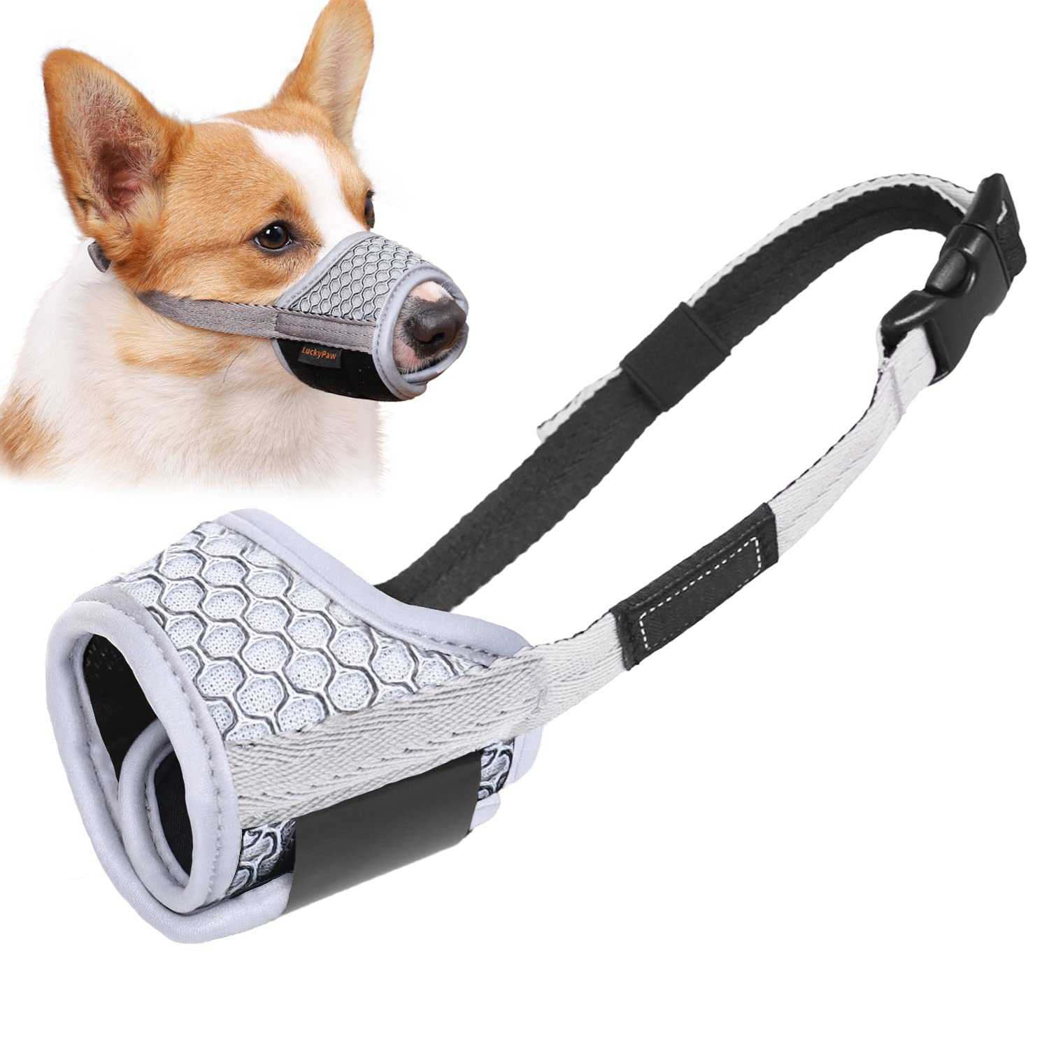 For Dogs Will A Dog Muzzle Stop Barking Do Dog Muzzles Prevent