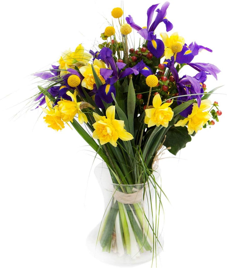 Fresh Splash of Spring Flower Bouquet with Free Delivery and Name-a-Rose Gift - A Gorgeous Hand Tied Bouquet of Daffodils, Irises, Craspedia and Hypericum All Wrapped by a Real Florist