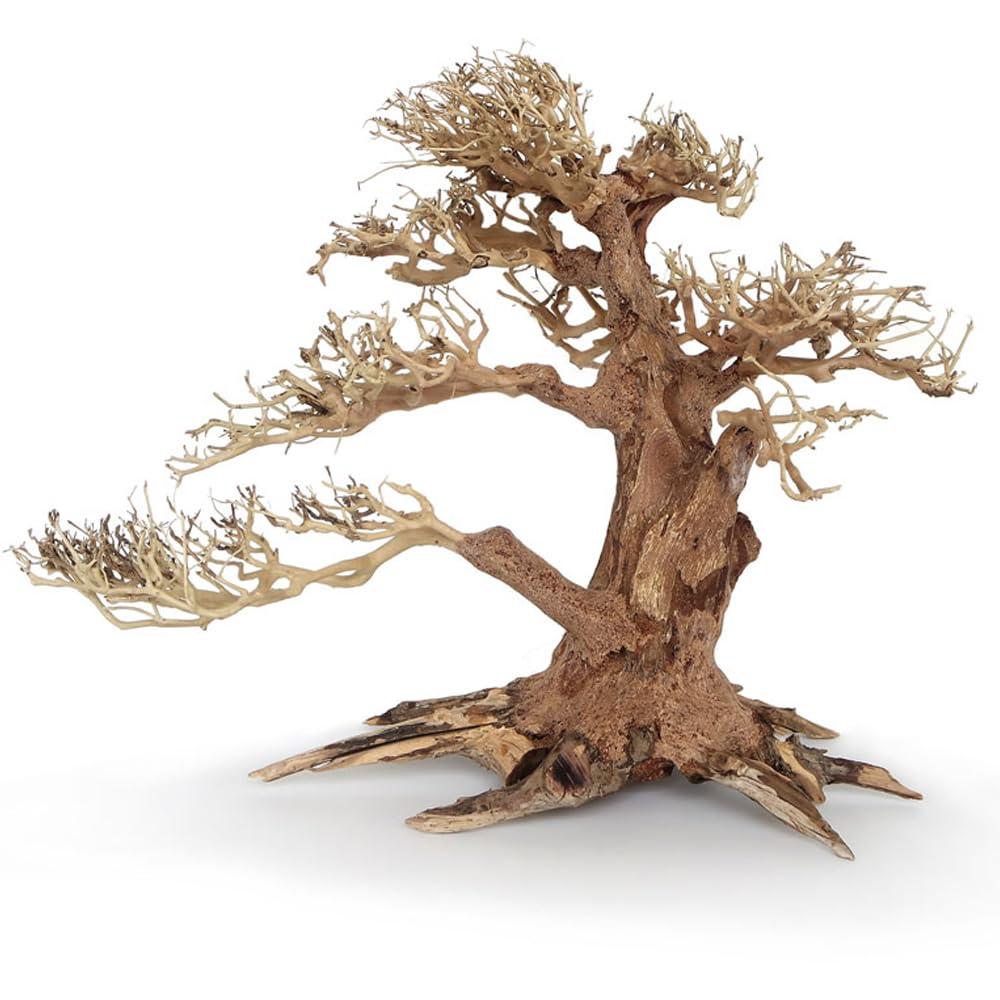 Amtra Legno Oriental Wind 4 - Taglia L 40x15x30 cm, Decorazione Composizione di Legni Naturali per Acquari, Fatto a mano, Accessorio arredo decorativo per Terrari