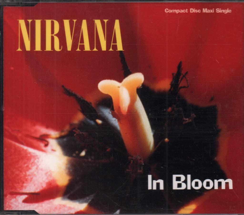 In Bloom: Nirvana: Amazon.it: CD e Vinili}
