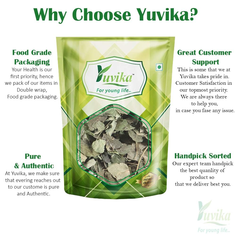 YUVIKA Moringa Leaves - Moringa oleifera - Sohjana Patti (200 Grams) - Image 3 thumbnail