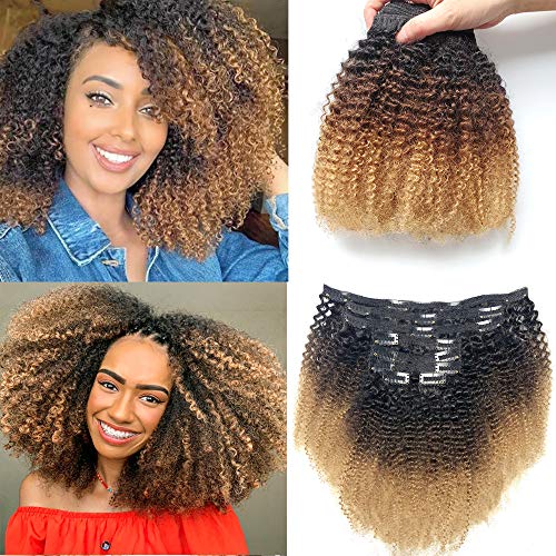 PangDongLai 1B/4/27 4B4C Afro Kinky Curly Clip In Hair Extensions Double Weft 8pcs 18clips 120g/set Brazilian Virgin Remy Human Hair Extensions For Black Women (18 Inch, 1B/4/27 Afro Curly)