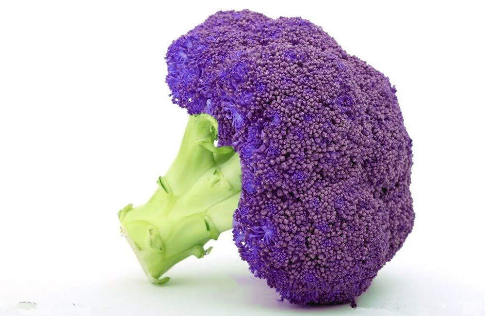 Semi Di Cavolfiore Autunnale Di Cavolo Gigante Di Dürr Samen Ca - Foto 8