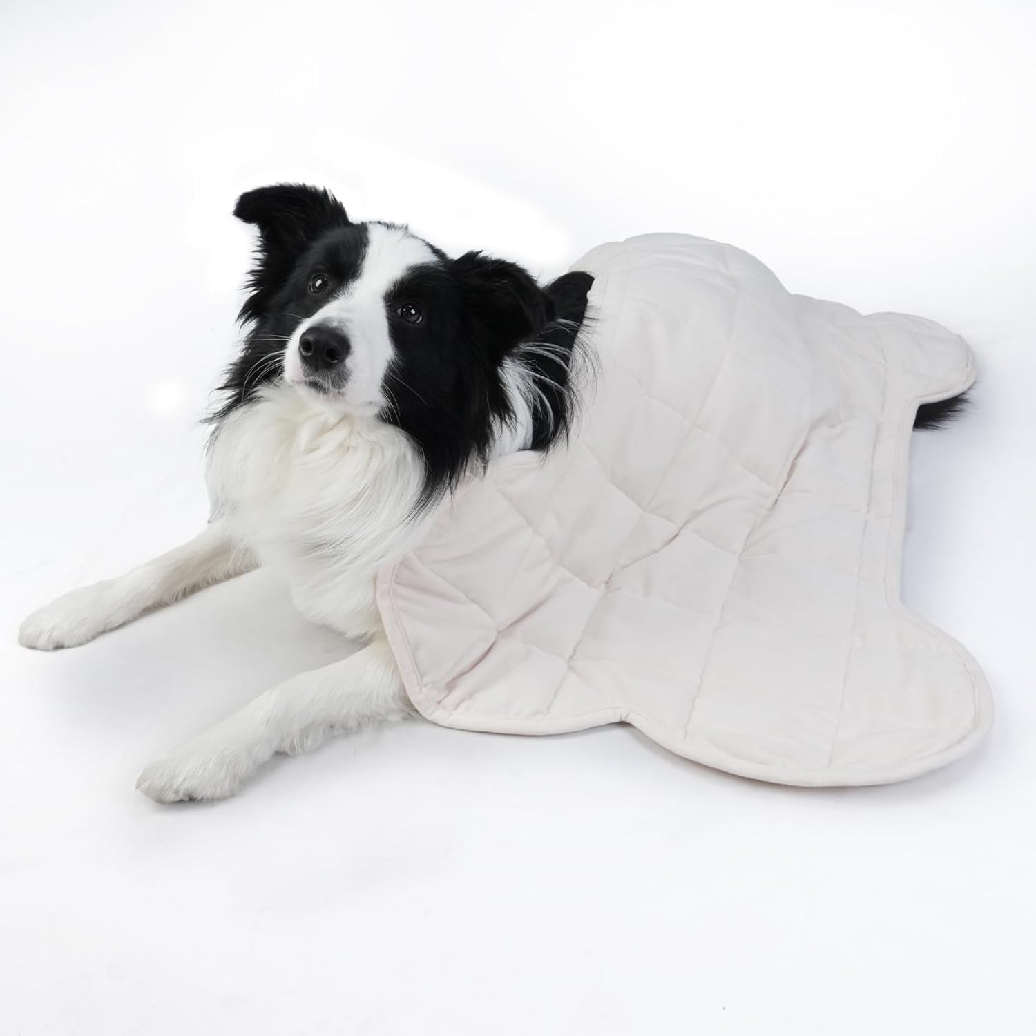 YUSRA Small Weighted Blanket for Dogs, Soft Weighted