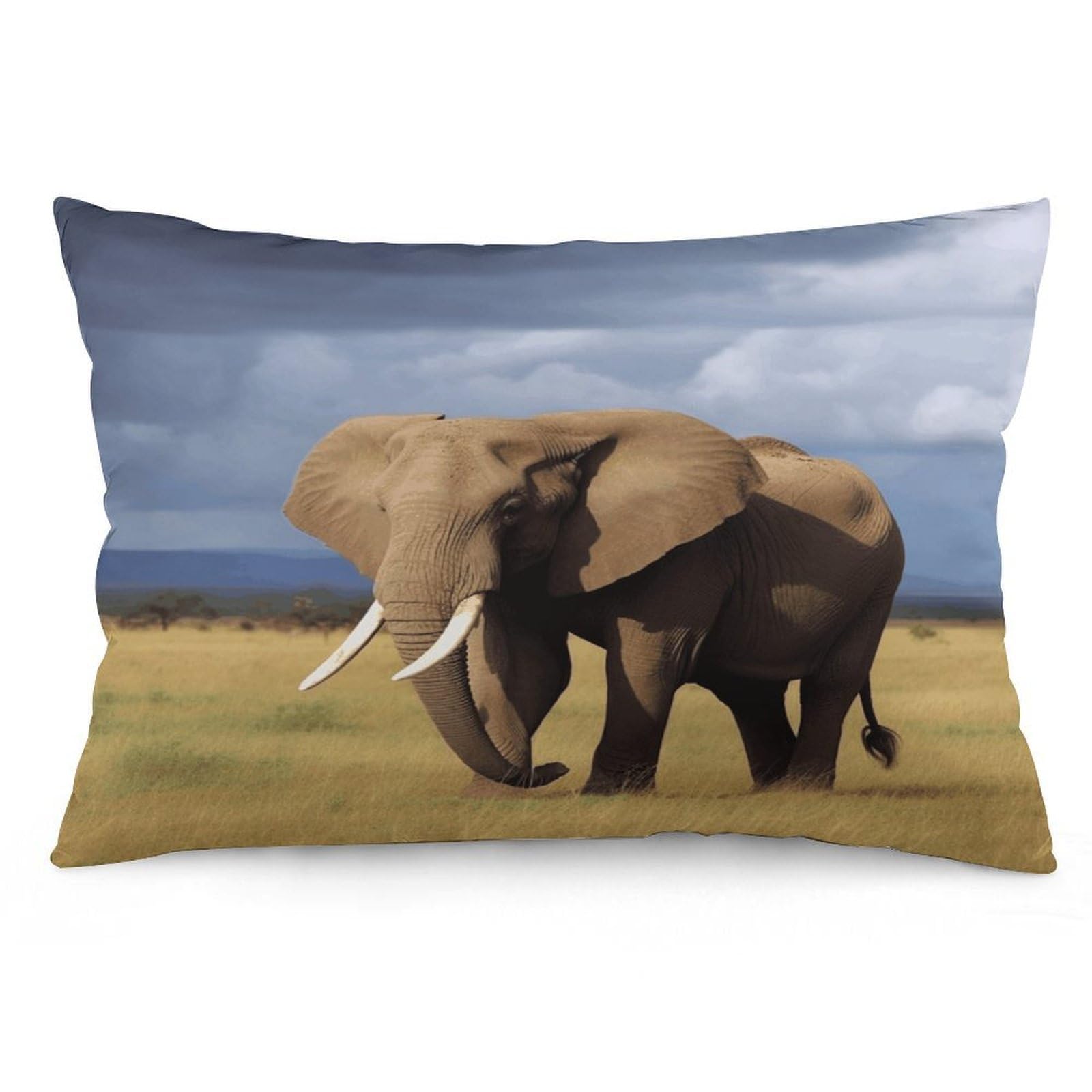 FekiLoot Africa Grassland Elephant Pillowcases Super Soft Cozy Lumbar Decorative Throw Pillow Covers Plush Pillow Shams with Zipper Double-Sided Decorative Pillows Shells for All Seasons