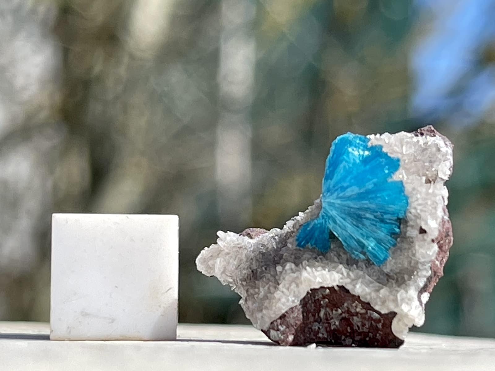 Cavansite Spiritual Healing Crystal Mineral Stone SilverGeo® Certified ✔️100% Genuine