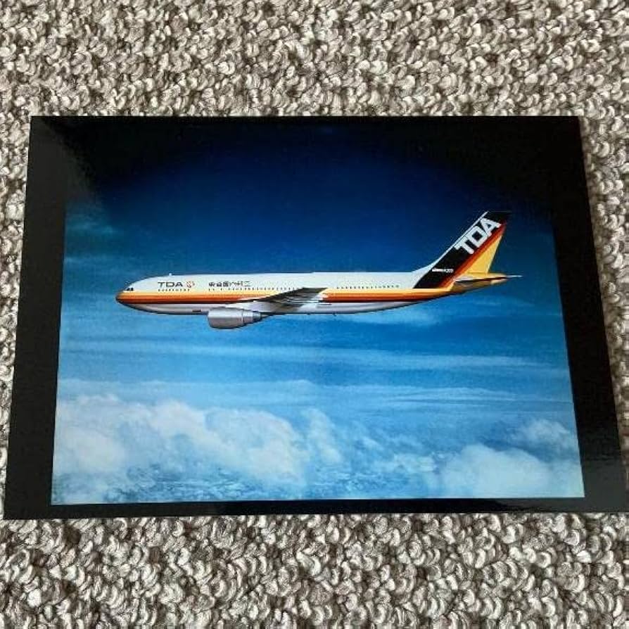 Amazon | 航空機 東亜国内航空 80年 A300 就航 ポジフィルム