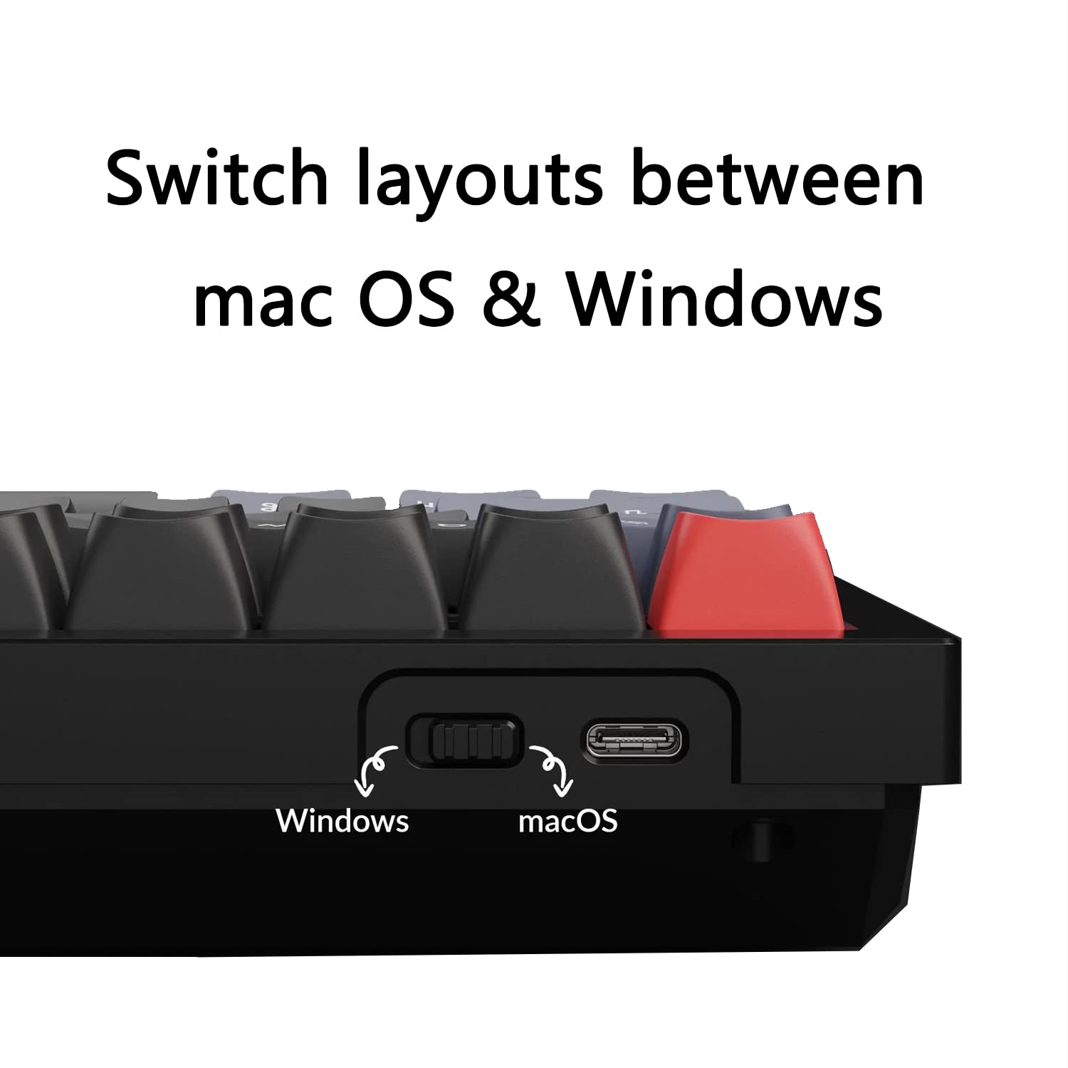 Amazon.co.jp: Keychron Q6 フルサイズカスタムメカニカルキーボード 