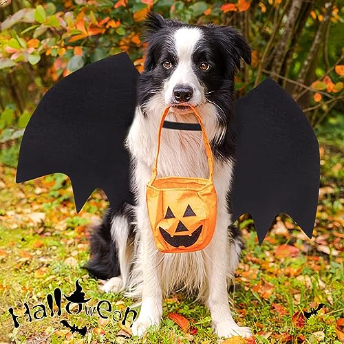 Halloween Ala di Pipistrello, Costume Halloween