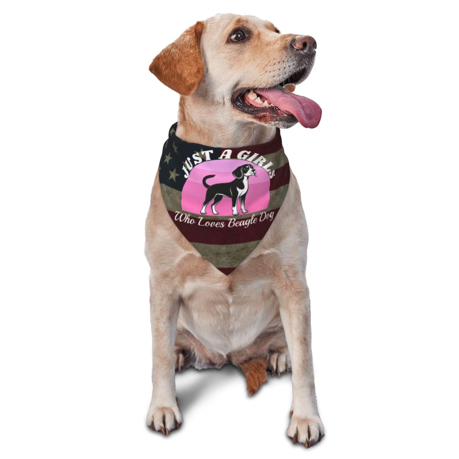 Just A Girls Who Loves Beagle Dog Dog Scarf Pet Bandana Cat Pet Bibs