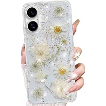Changjia iPhone 16   TPU      iPhone 16 6.1