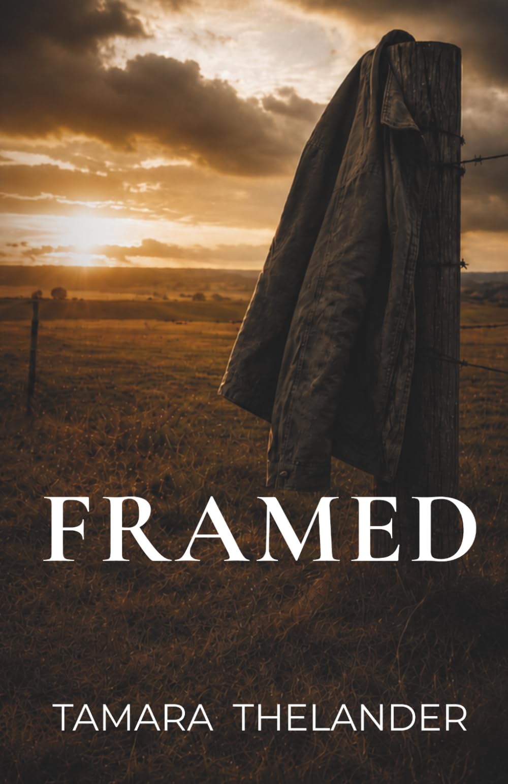Framed: A Novel of Family, Betrayal, and Forgiveness in the American South