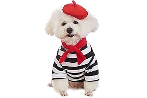 Charming Cat Beret for Artistic Adventures