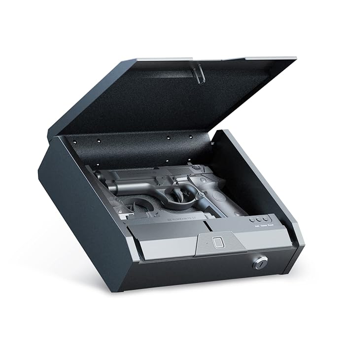 Buy Voice Gun Safe, Biometric Gun Box, Pistol Lock Case for 2 Handguns