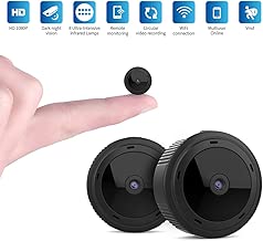 Portable Wireless Security Surveillance Detection