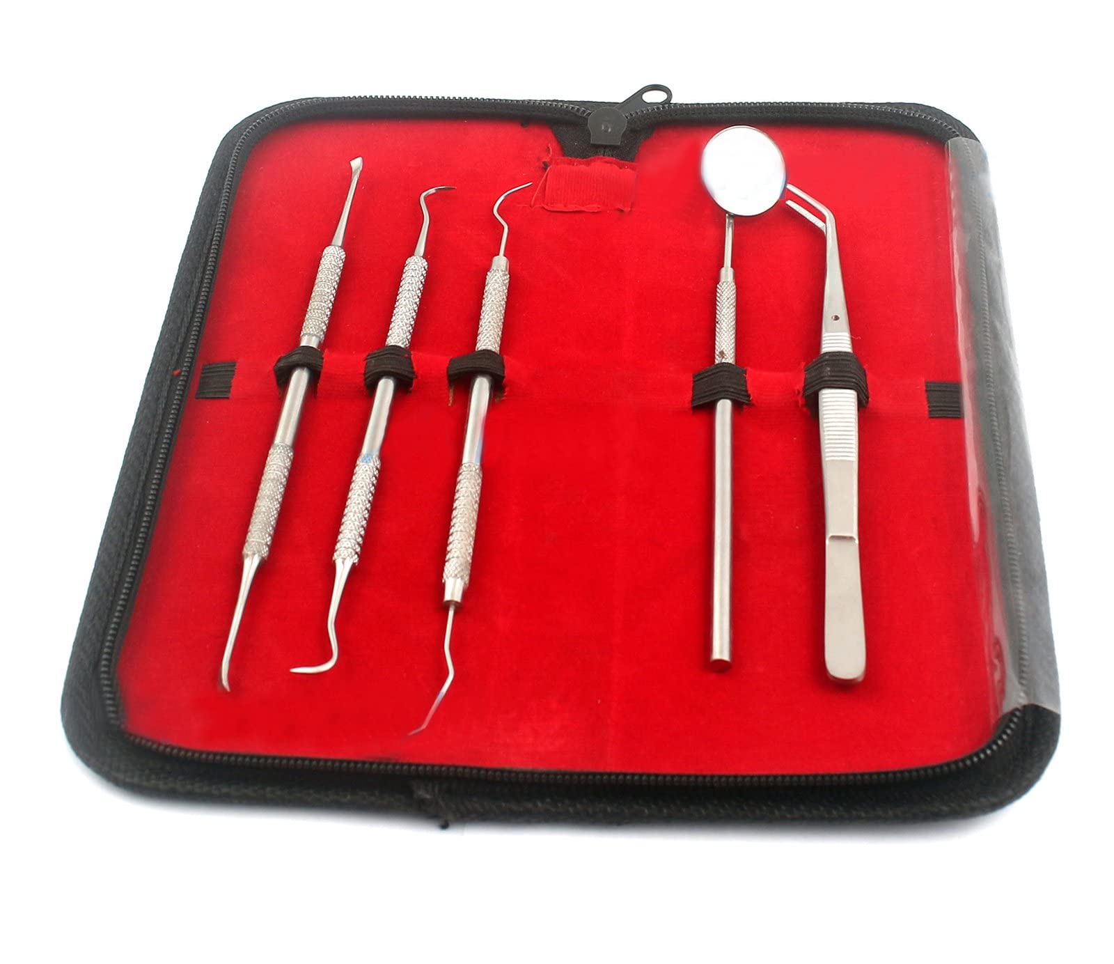 AA PRO Dentist Tool KIT: Handpicked by The Best Dentists HYGIENIC; Dental & Gum Floss THREADERS; Plaque & TARTER Remover Built with HIGH Grade Stainless Steel; PET Friendly with Leather Carry CASE
