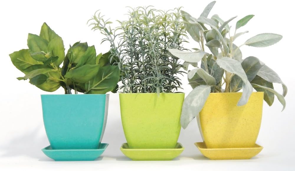 Herb Garden Kit, Pastel