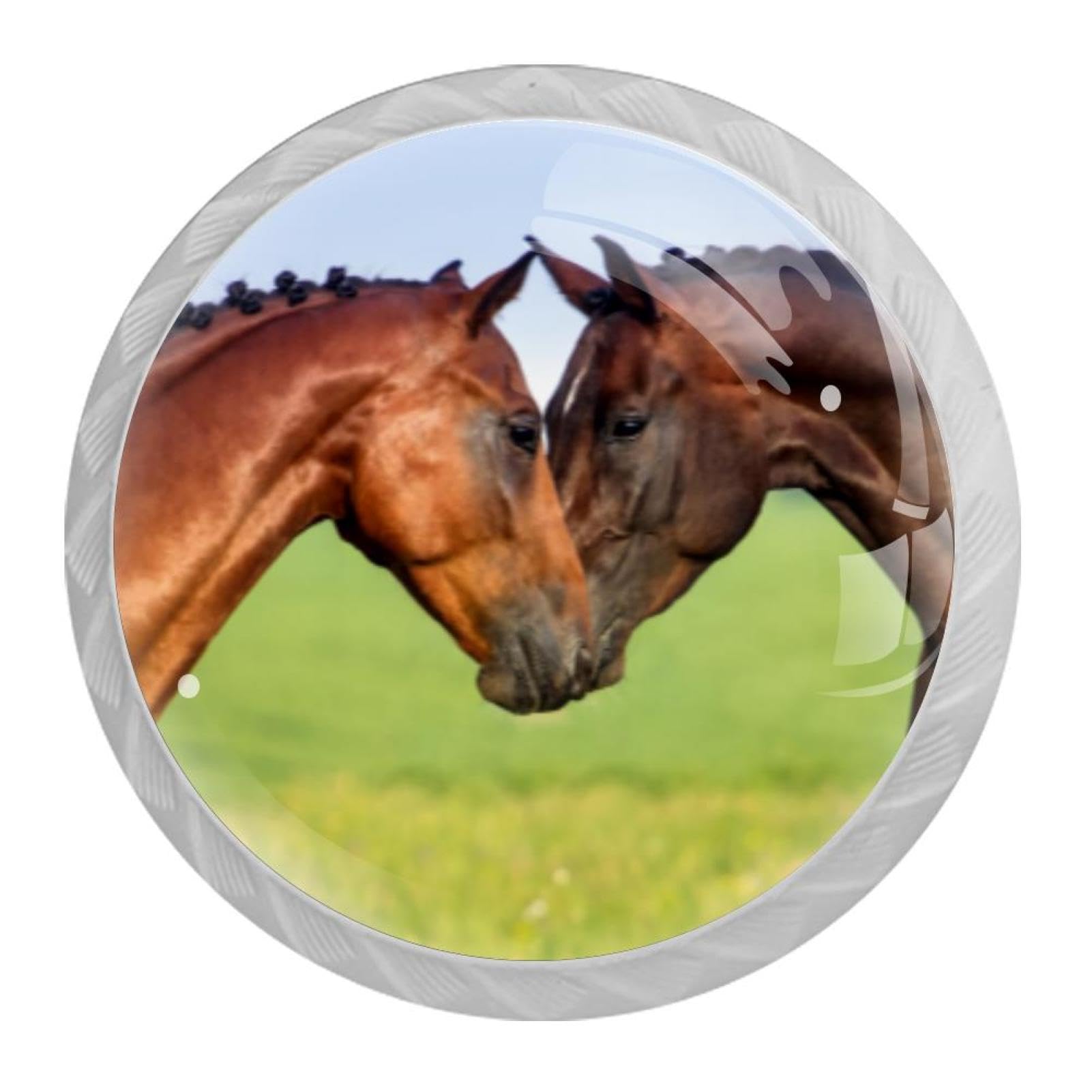 Tqmspg 4 Pieces Drawer Pulls Horses Door Knobs Dresser Handles for Kitchen Wardrobe Cupboard Hardware Furniture