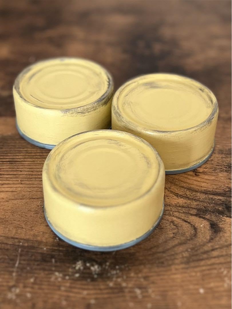 Amazon.co.jp: リメイク缶リメ缶リメ鉢ミニミニ寄せ植え用 : ホビー