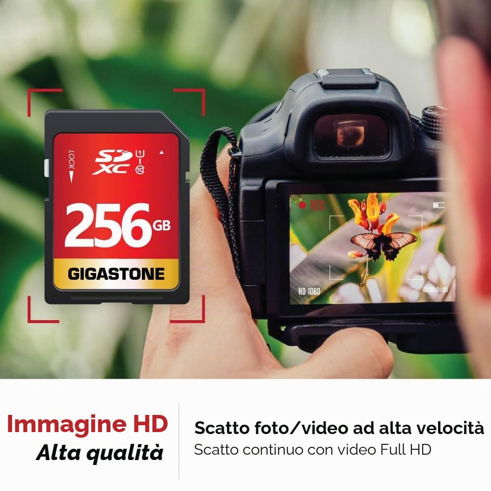 GIGASTONE Scheda SD 256 GB, Set da 2, 2 custodie mini, Scheda di Memoria SDXC, Velocità di Lettura Fino a 80 MB/sec, Classe 10 U1 UHS-I, Specialmente per Fotocamere Telecamera PC