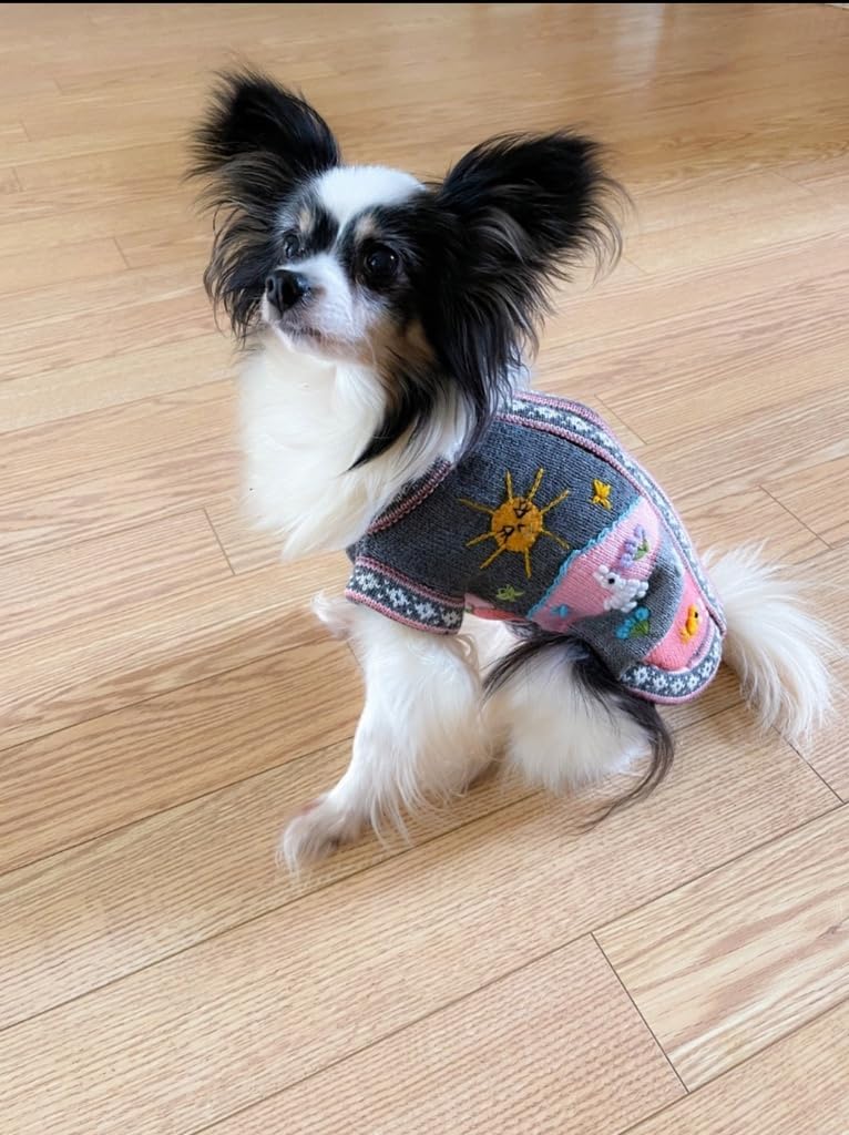 GRAY AND PINK Handmade Peruvian Dog Sweater (6)