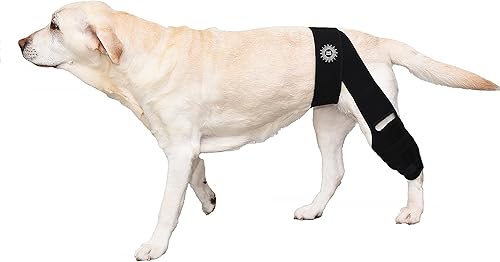 Generic Rodillera grande y transpirable para piernas desgarradas del ligamento cruzado anterior, fácil de usar, soportes de neopreno para piernas de